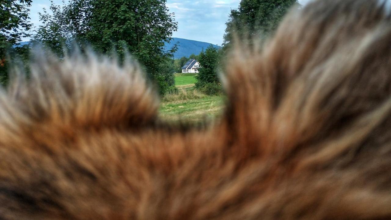 Rezydencja Ostoja Stronie Slaskie Exterior photo