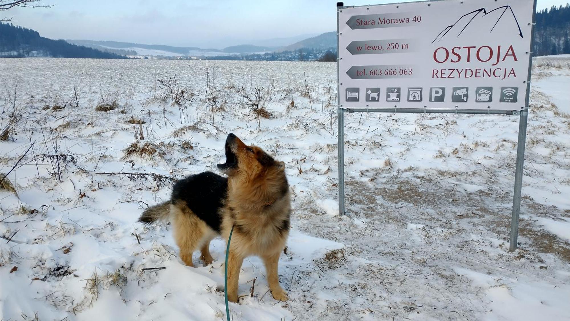 Rezydencja Ostoja Stronie Slaskie Exterior photo
